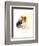 Sheltie Portrait, 2015-John Keeling-Framed Giclee Print