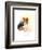 Sheltie Portrait, 2015-John Keeling-Framed Giclee Print