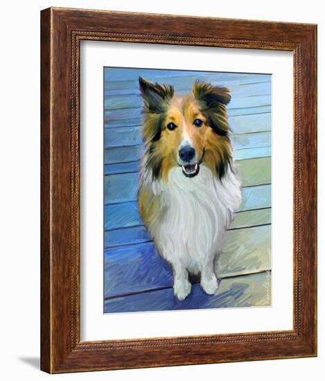 Sheltie the Eyes Have it-Robert Mcclintock-Framed Art Print