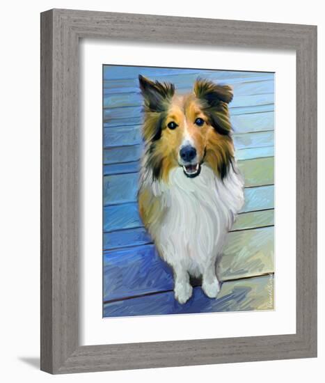 Sheltie the Eyes Have it-Robert Mcclintock-Framed Art Print