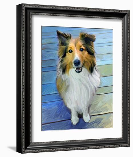 Sheltie the Eyes Have it-Robert Mcclintock-Framed Art Print