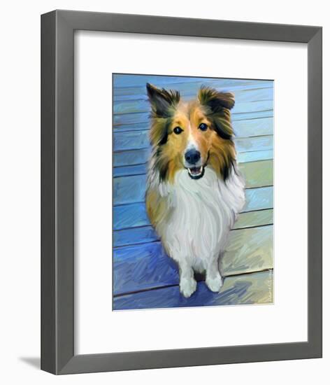 Sheltie the Eyes Have it-Robert Mcclintock-Framed Art Print