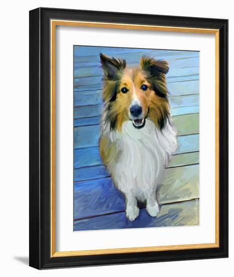 Sheltie the Eyes Have it-Robert Mcclintock-Framed Art Print