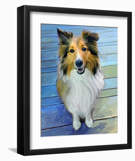 Sheltie the Eyes Have it-Robert Mcclintock-Framed Art Print