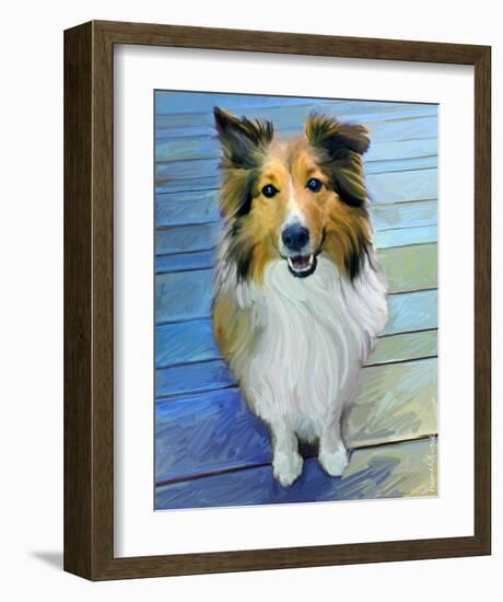 Sheltie the Eyes Have it-Robert Mcclintock-Framed Art Print