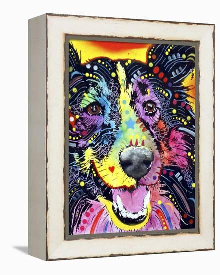 Sheltie-Dean Russo-Framed Premier Image Canvas