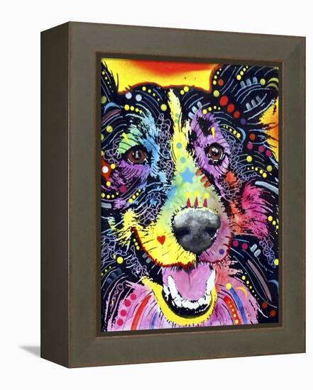 Sheltie-Dean Russo-Framed Premier Image Canvas