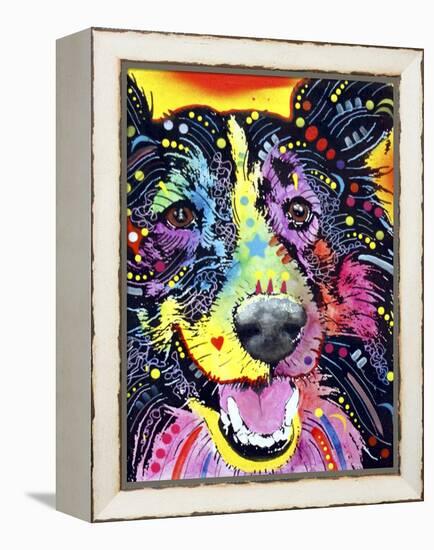 Sheltie-Dean Russo-Framed Premier Image Canvas