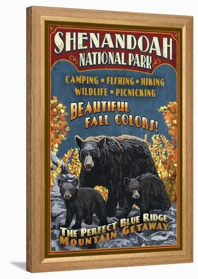 Shenandoah National Park, Virginia - Bear and Cubs-Lantern Press-Framed Stretched Canvas