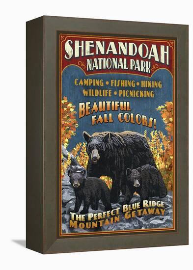 Shenandoah National Park, Virginia - Bear and Cubs-Lantern Press-Framed Stretched Canvas