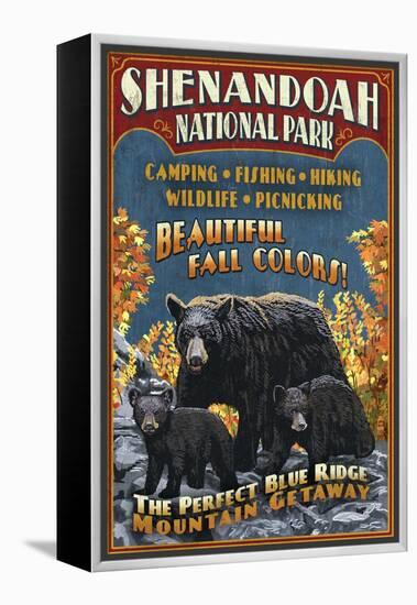 Shenandoah National Park, Virginia - Bear and Cubs-Lantern Press-Framed Stretched Canvas