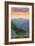 Shenandoah National Park, Virginia - Black Bear and Cubs Spring Flowers-Lantern Press-Framed Premium Giclee Print