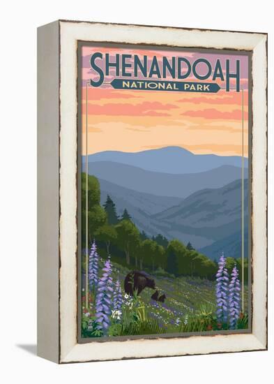 Shenandoah National Park, Virginia - Black Bear and Cubs Spring Flowers-Lantern Press-Framed Stretched Canvas