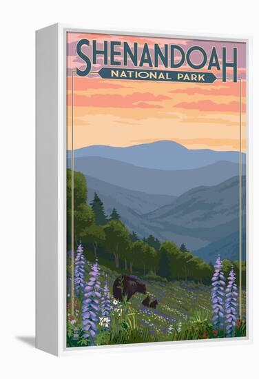 Shenandoah National Park, Virginia - Black Bear and Cubs Spring Flowers-Lantern Press-Framed Stretched Canvas