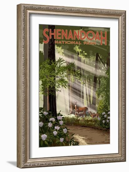 Shenandoah National Park, Virginia - Deer and Fawns-Lantern Press-Framed Art Print