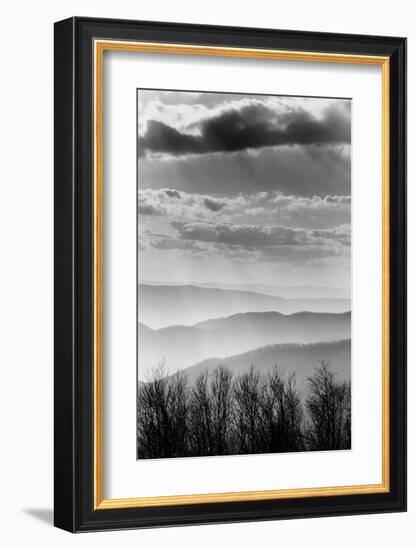 Shenandoah National Park, Virginia-null-Framed Art Print