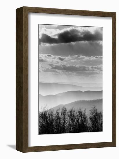 Shenandoah National Park, Virginia-null-Framed Art Print