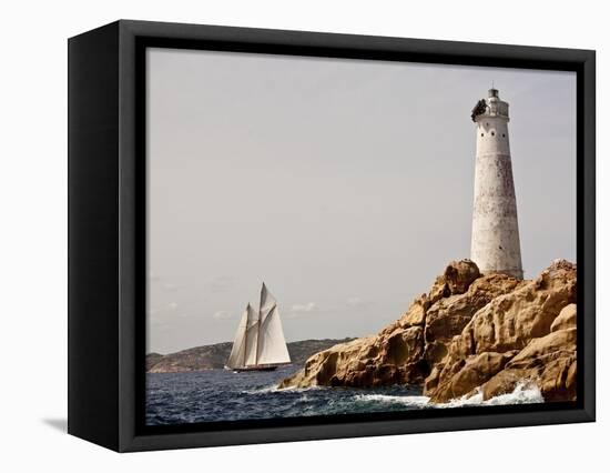 Shenandoah of Sark Schooner Sails Past Sardinia's Monaci Lighthouse on Costa Smeralda-Onne van der Wal-Framed Premier Image Canvas