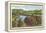 Shenandoah River, Virginia-null-Framed Stretched Canvas