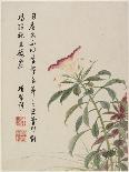 Crab-Apple Blossom from a Flower Album of Ten Leaves, 1656-Shengmo Xiang-Framed Giclee Print