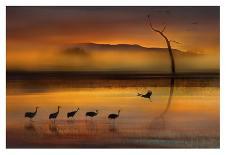 The twilight river-Shenshen Dou-Photographic Print