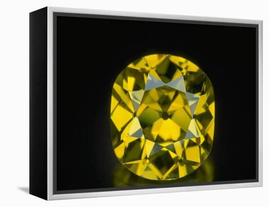 Shepard Diamond-null-Framed Premier Image Canvas