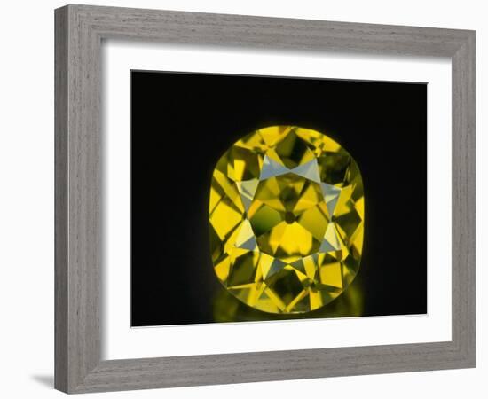 Shepard Diamond-null-Framed Photographic Print