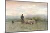 'Shepherd and Flock', 19th century-Anton Mauve-Mounted Giclee Print