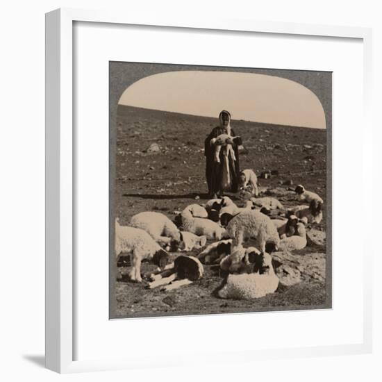 'Shepherd and flock', c1900-Unknown-Framed Photographic Print