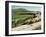 Shepherd and His Flock, Near Itero De La Vega, Palencia, Castilla Y Leon, Spain, Europe-Ken Gillham-Framed Photographic Print