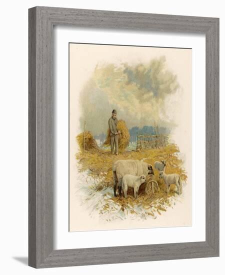 Shepherd Brings a Bale of Hay to His Flock in Winter- Time-Phillips Brooks-Framed Art Print