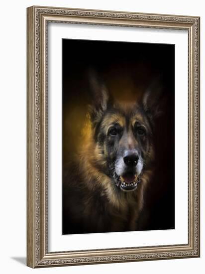 Shepherd Glow-Jai Johnson-Framed Giclee Print