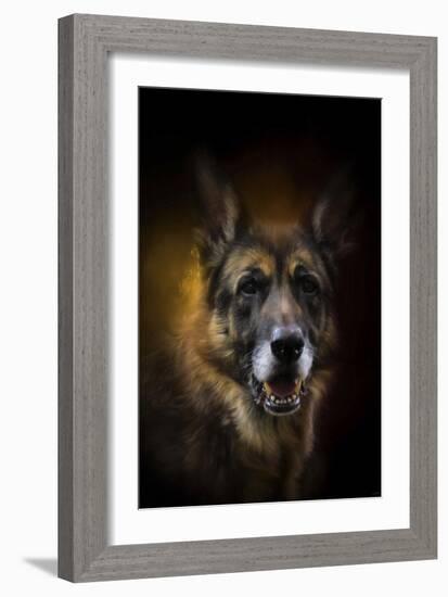 Shepherd Glow-Jai Johnson-Framed Giclee Print