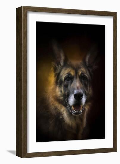 Shepherd Glow-Jai Johnson-Framed Giclee Print