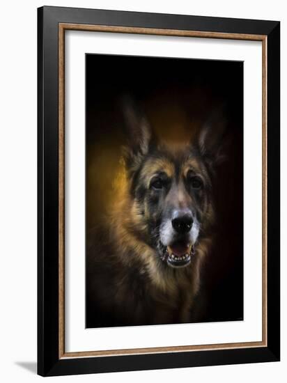 Shepherd Glow-Jai Johnson-Framed Giclee Print