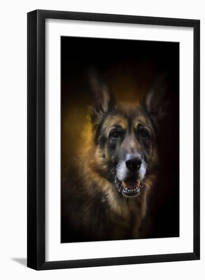 Shepherd Glow-Jai Johnson-Framed Giclee Print