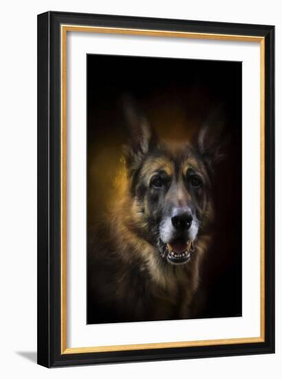 Shepherd Glow-Jai Johnson-Framed Giclee Print