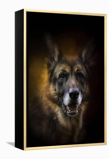 Shepherd Glow-Jai Johnson-Framed Premier Image Canvas