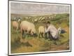 Premium Giclee Print