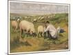 Premium Giclee Print