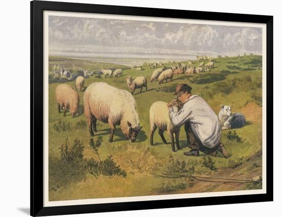 Art Print, , large