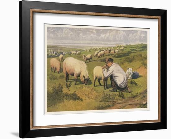 Shepherd in a Meadow with His Dog and His Sheep-null-Framed Art Print