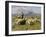 Shepherd of the Pyrenees, 1888-Rosa Bonheur-Framed Giclee Print