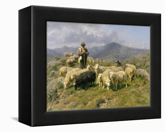 Shepherd of the Pyrenees, 1888-Rosa Bonheur-Framed Premier Image Canvas