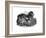 Shepherd's Dog, 1848-null-Framed Giclee Print