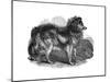 Shepherd's Dog, 1848-null-Mounted Giclee Print