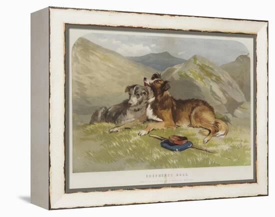 Shepherd's Dogs-F. Tayler-Framed Premier Image Canvas