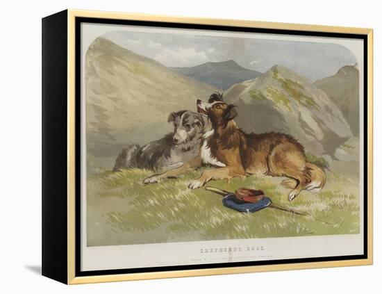 Shepherd's Dogs-F. Tayler-Framed Premier Image Canvas