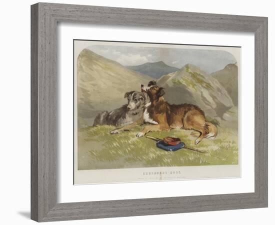 Shepherd's Dogs-F. Tayler-Framed Giclee Print