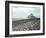 Shepherd Tending Flock of Sheep, Mont Saint Michel, a 13th Cent. Abbey and Town on Brittany Coast-Nat Farbman-Framed Photographic Print